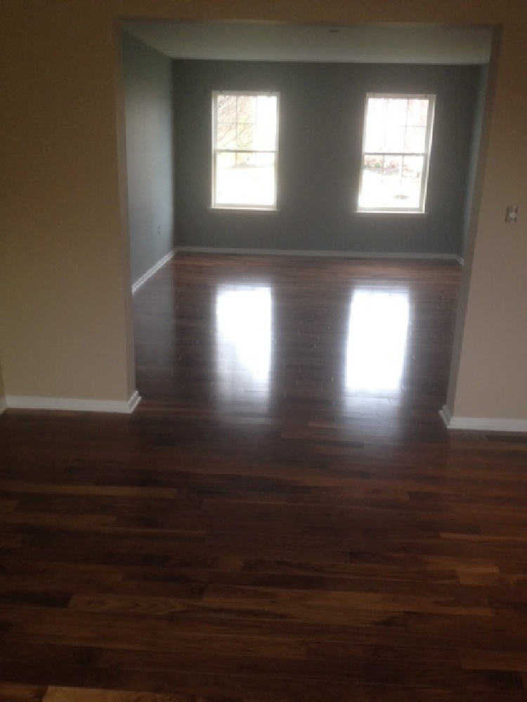 A New World is Yours